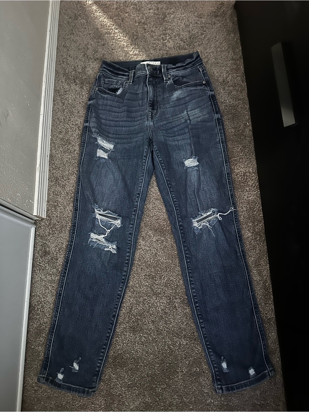 Eunina Distressed High-Rise Jeans Size 3 0153
